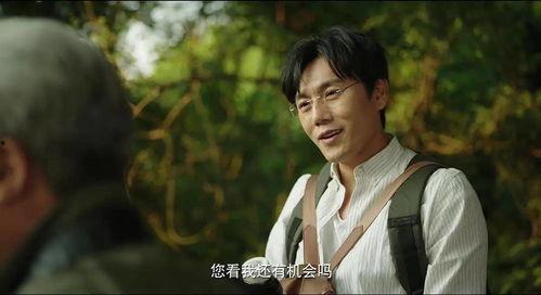 娱乐718.吃瓜隐秘,吃瓜隐秘背后的真相与内幕